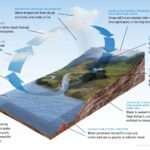 A diagram explaining the Water Cycle.