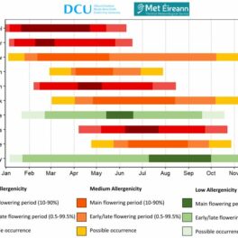 Last Pollen Forecast for 2024