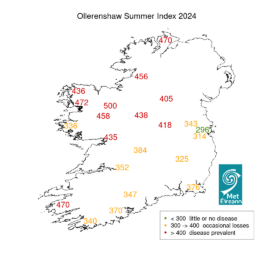 Liver Fluke Forecast November 2024