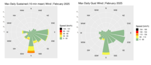 Wind roses for February 2025, sustained 10-min mean and gust.